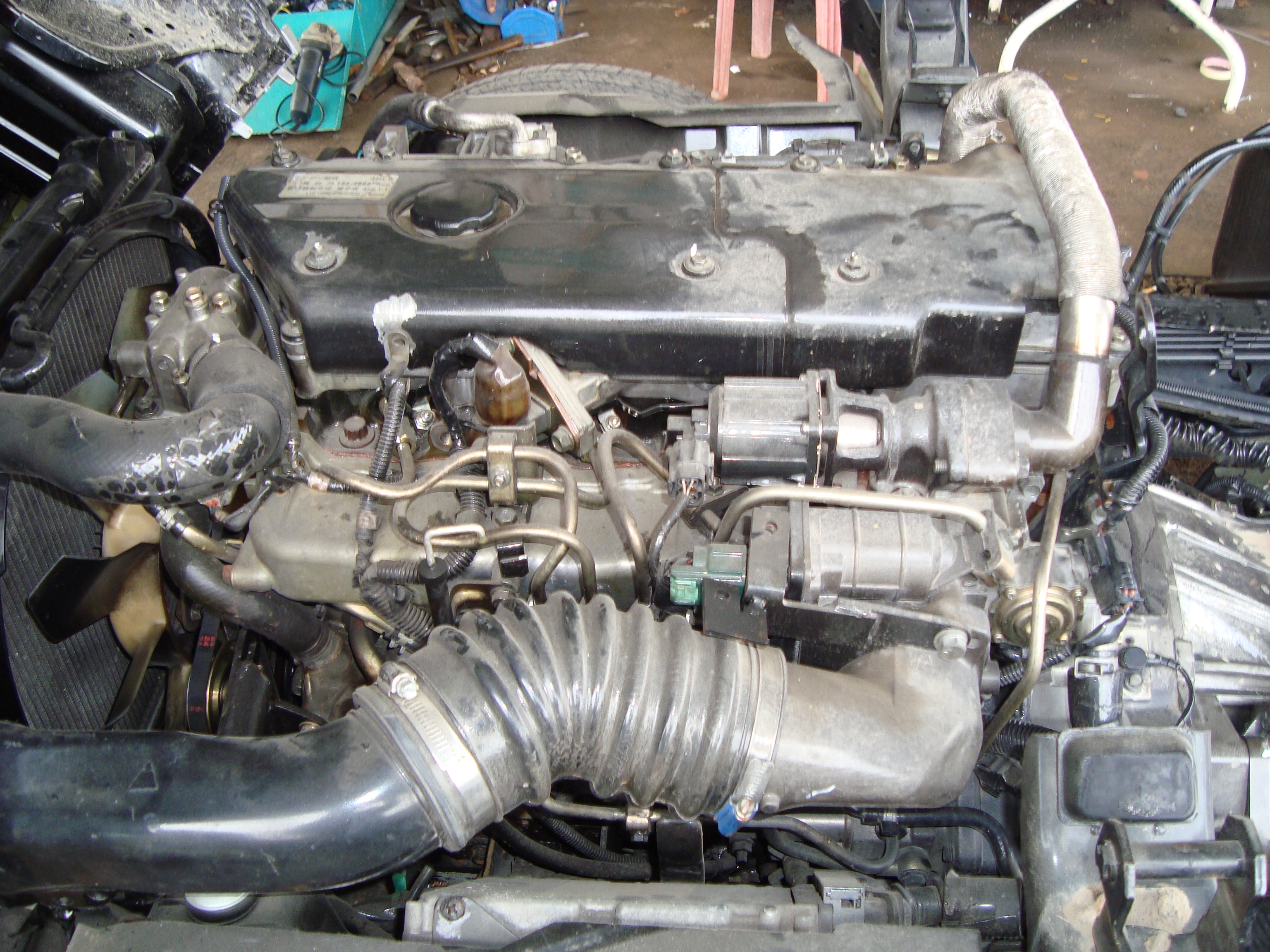 ISUZU NKR81L CHASSIS & CAB - ABS/ A-BAGS — view 4
