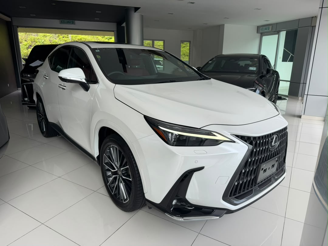 LEXUS NX250 VERSION L 2.5 2487 8TIP 8SMT 25345 KM — view 1