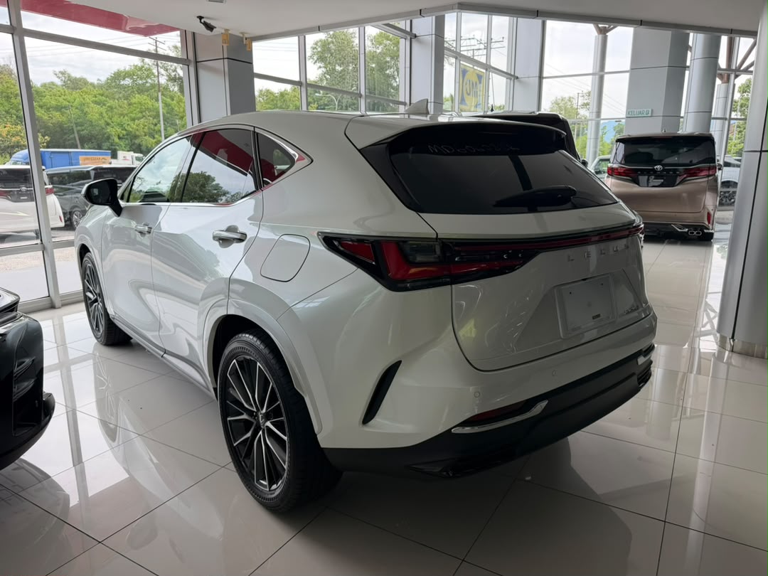 LEXUS NX250 VERSION L 2.5 2487 8TIP 8SMT 25345 KM — view 2