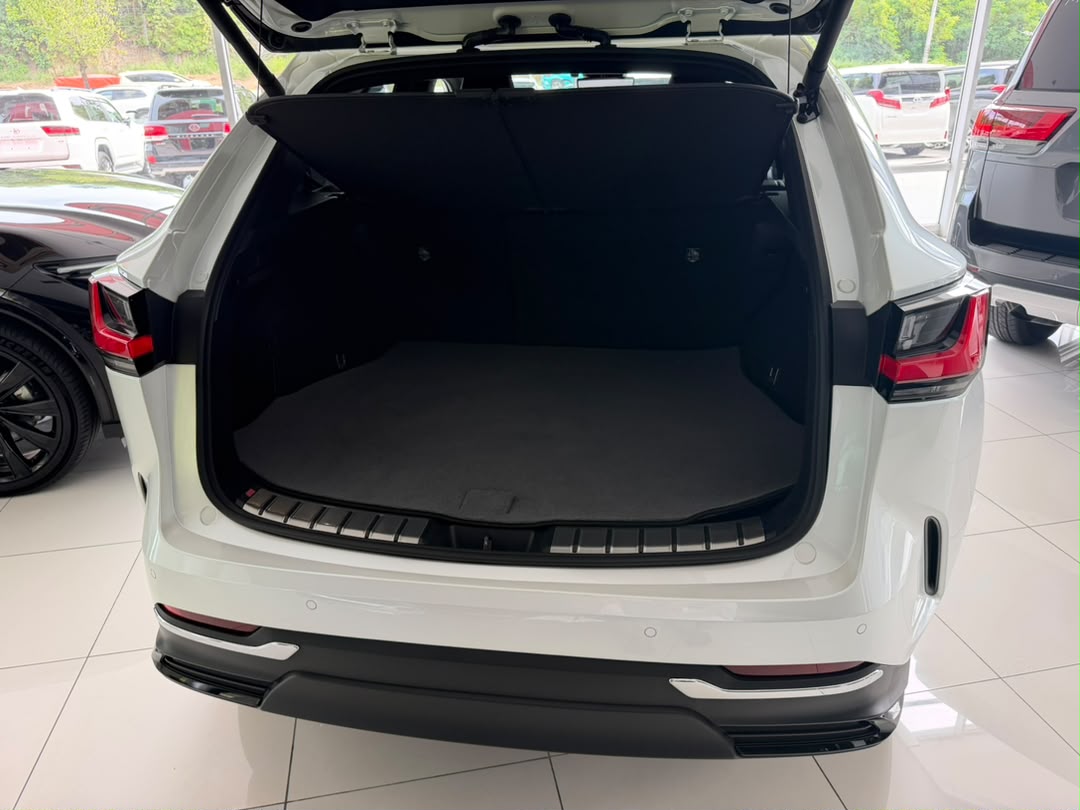 LEXUS NX250 VERSION L 2.5 2487 8TIP 8SMT 25345 KM — view 7