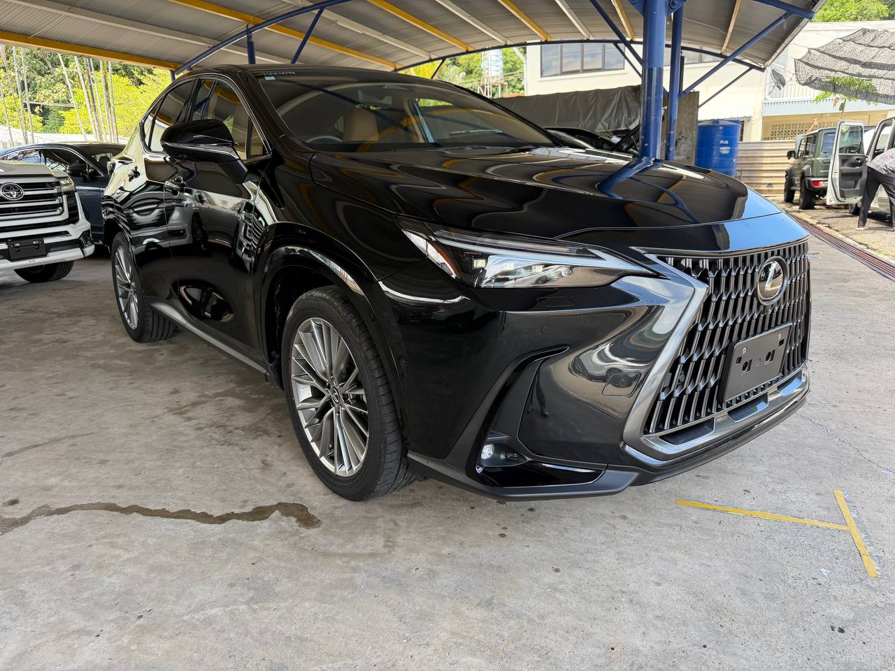 5BA-AAZA20 NX250 VERSION L 2.5P 2487 8AT-TIP 5S 29513KM. — view 1